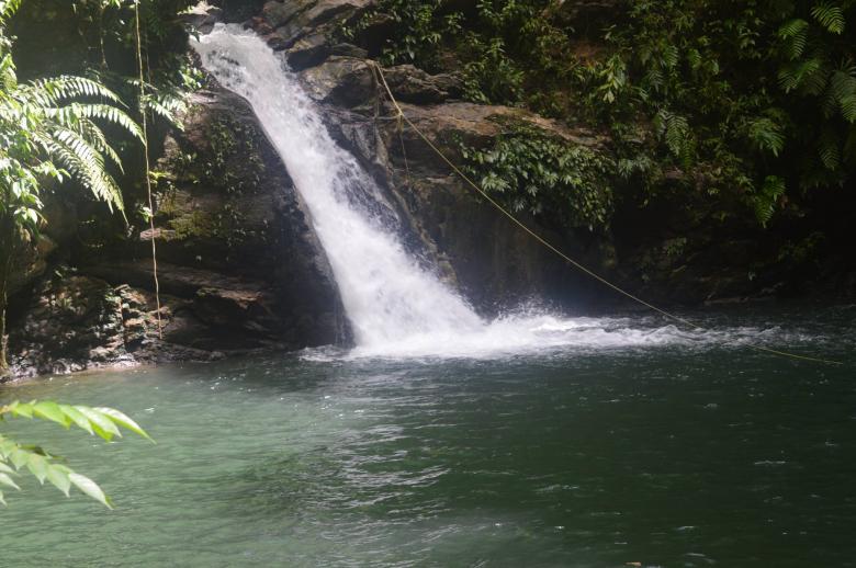 Free stock image of Natural Waterfall in Forest created by shhekhar kumar