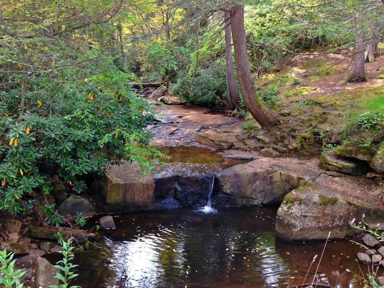 Free stock image of Peaceful Haven created by Nature Girl
