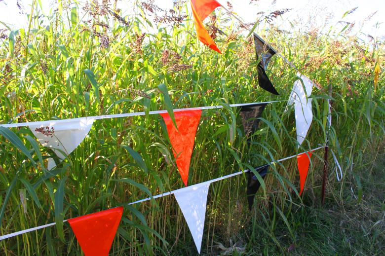 Free stock image of Flags on the Wire created by Val Lawless