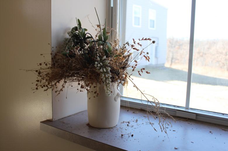 Free stock image of Flower Pot in the Window created by Val Lawless