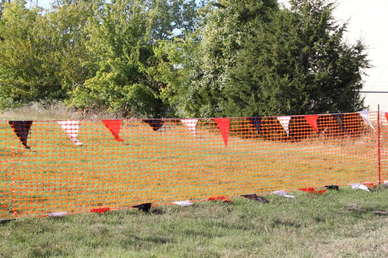 Free stock image of Small flags created by Val Lawless