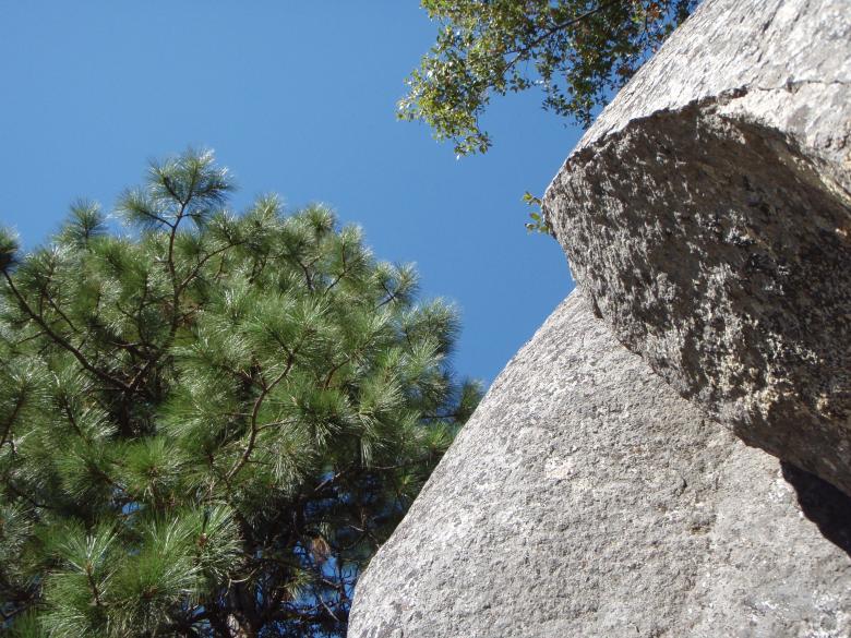 Free stock image of Yosemite National Park created by Wady Galfskiy