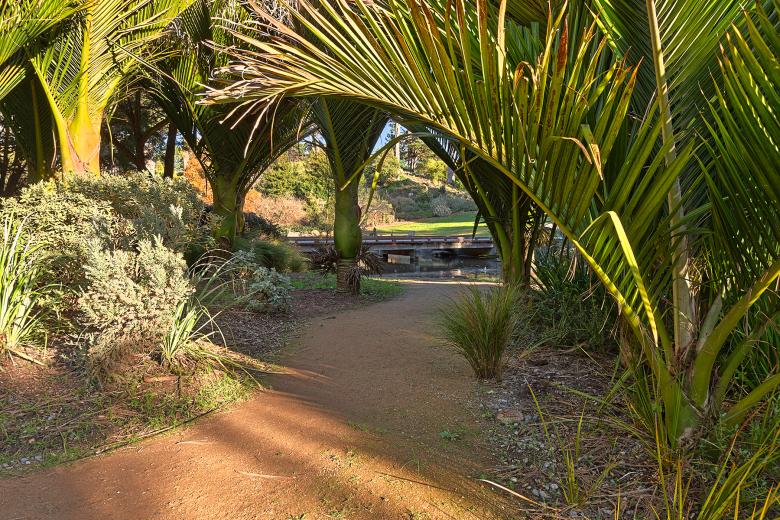 Free stock image of Botanical Gardens Trail - HDR created by Nicolas Raymond