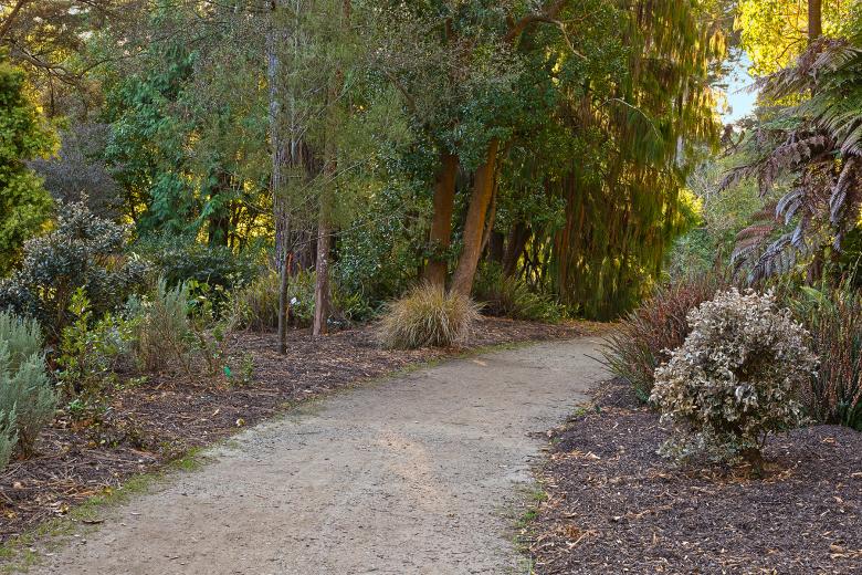 Free stock image of Botanical Gardens Trail - HDR created by Nicolas Raymond