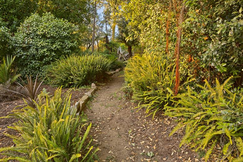 Free stock image of Botanical Gardens Trail - HDR created by Nicolas Raymond
