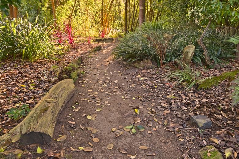 Free stock image of Botanical Gardens Trail - HDR created by Nicolas Raymond