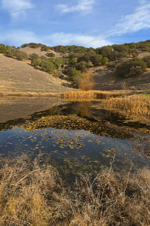 Free stock image of Sonoma Valley Pondscape - HDR created by Nicolas Raymond