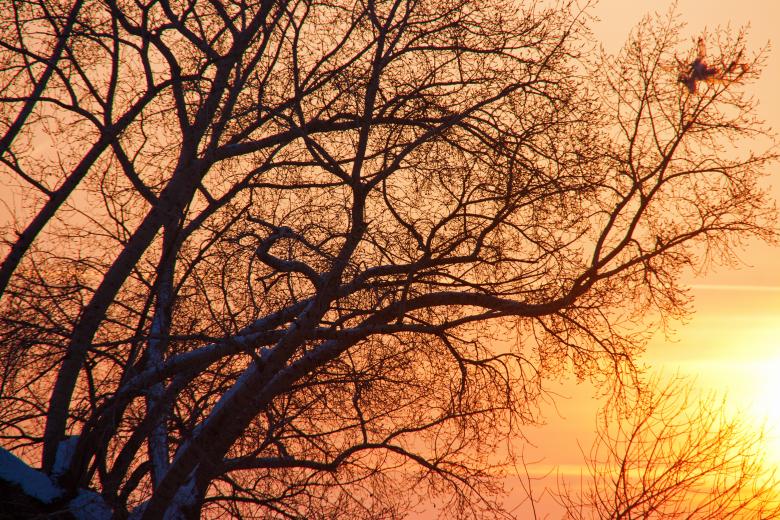 Free stock image of Sunset created by 2happy