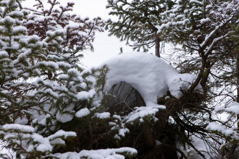 Free stock image of Snowdrift created by 2happy
