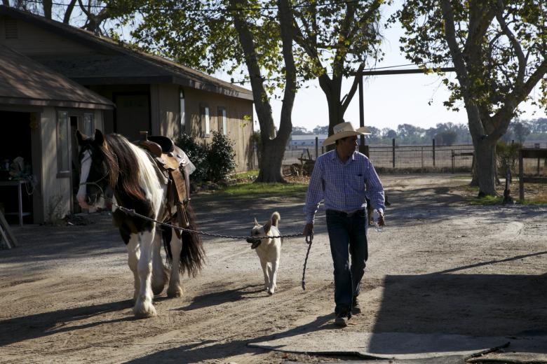 Free stock image of A day on the ranch created by dana richardson