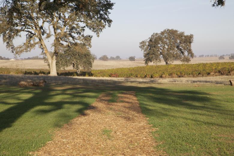 Free stock image of Hills of the ranch created by dana richardson