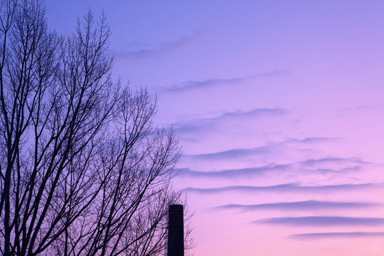 Free stock image of sky and branches created by 2happy