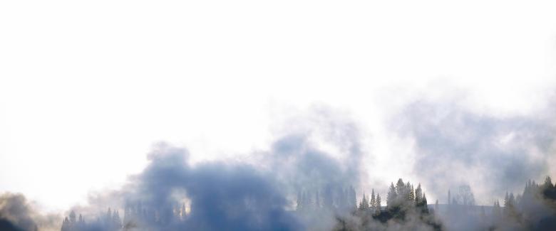 Free stock image of trees in smoke created by 2happy