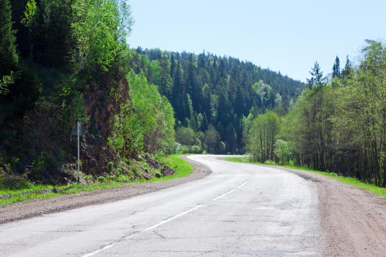 Free stock image of Road in forest created by 2happy