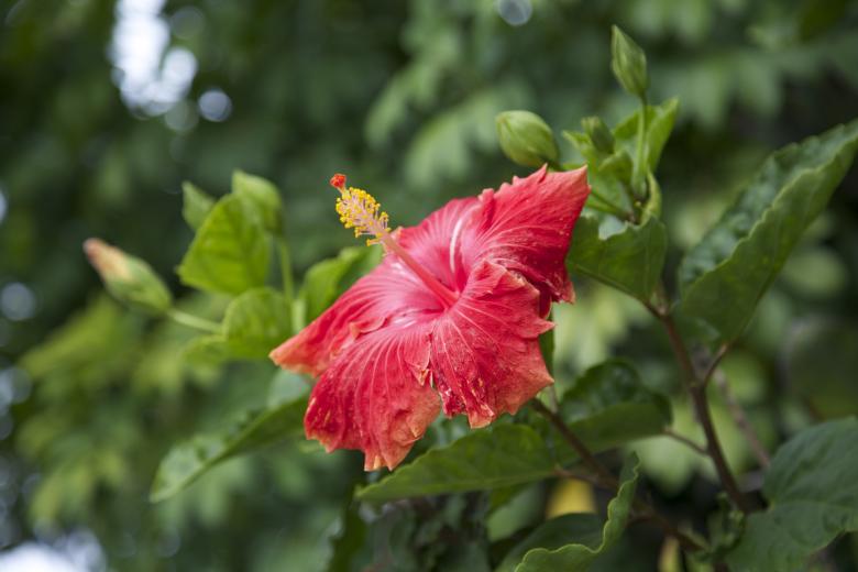 Free stock image of Neighbors yard created by dana richardson