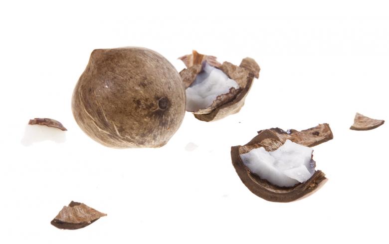 Free stock image of Smashed coconut created by 2happy