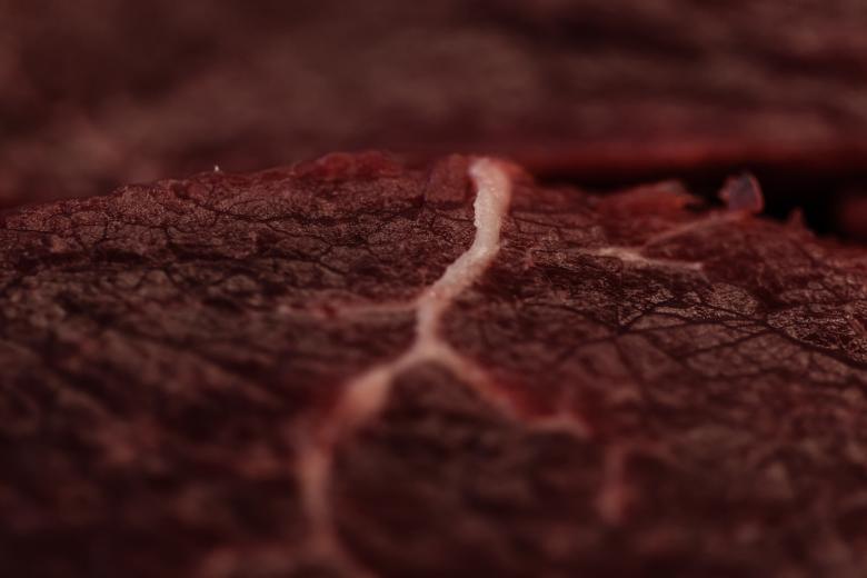 Free stock image of Raw Meat created by Bjorgvin