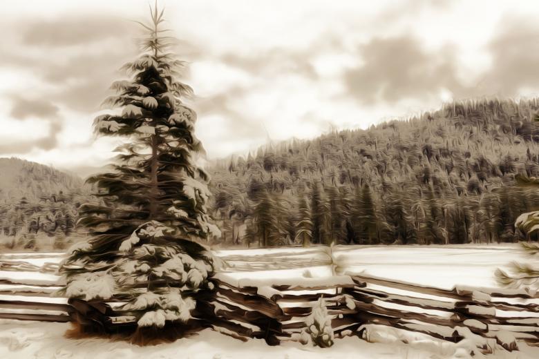 Free stock image of Alpine Forest created by George Cuda