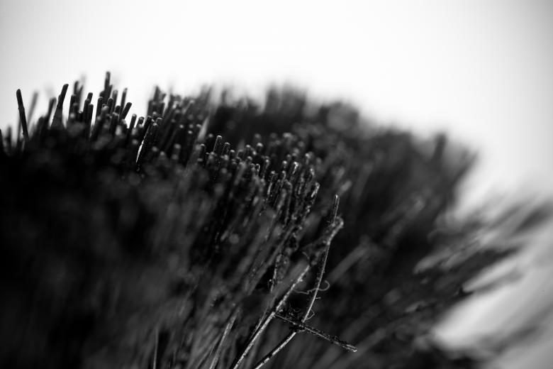 Free stock image of Wire Brush created by Bjorgvin