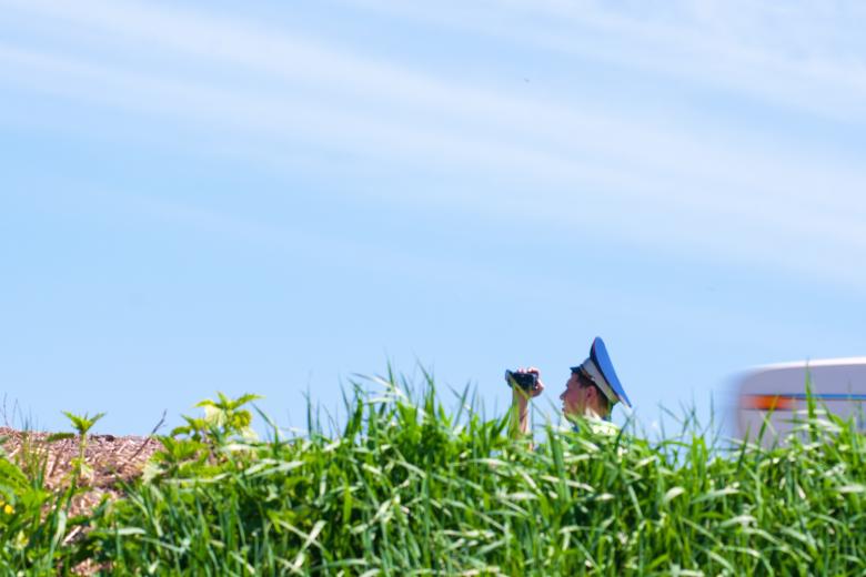 Free stock image of police in the bushes created by 2happy