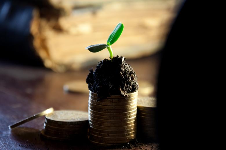 Free stock image of Money growth concept created by Mudretsov Olexandr