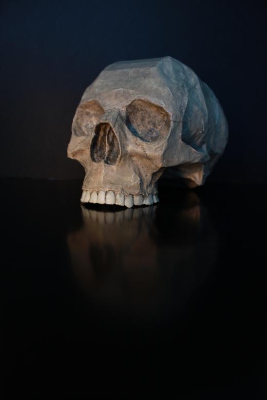 Free stock image of Skull created by Lorwyn