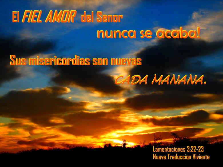 Free stock image of Fiel Amor del Senor created by DFNatureAwed