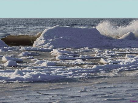 Winter at the sea - Free Stock Photo