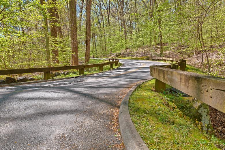 Free stock image of Rock Creek Park Road - HDR created by Nicolas Raymond