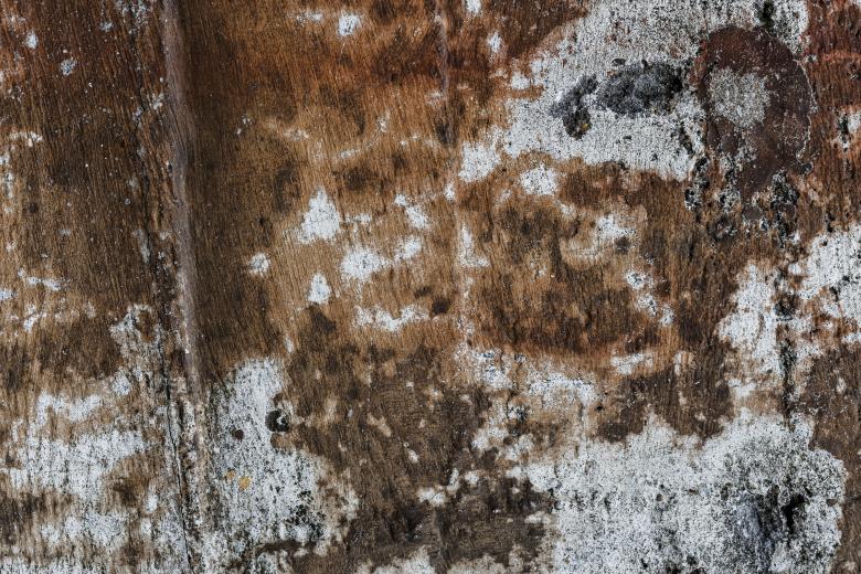 Free stock image of Grunge Wall Texture created by Free Texture Friday