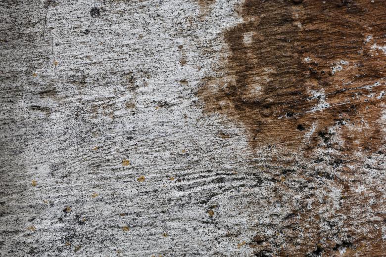 Free stock image of Gritty Wall Texture created by Free Texture Friday