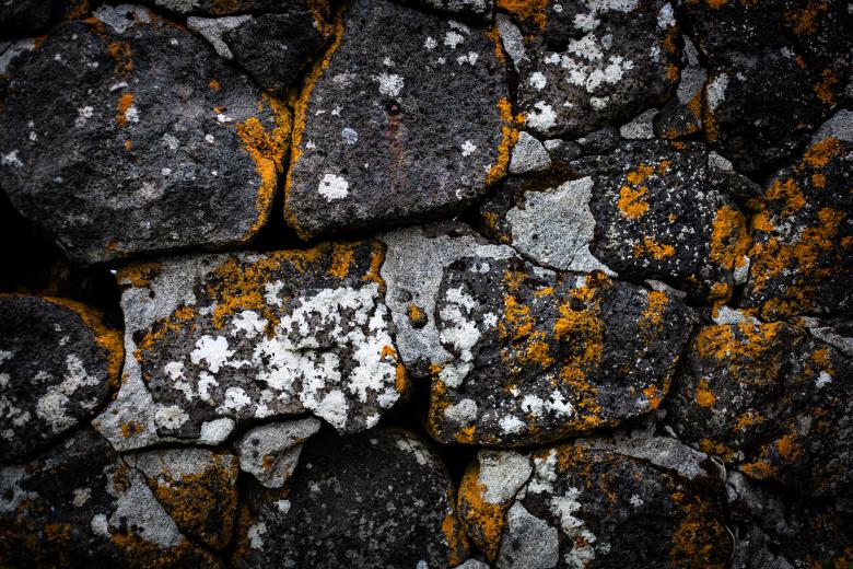 Free stock image of Old Stone Wall Texture created by Free Texture Friday