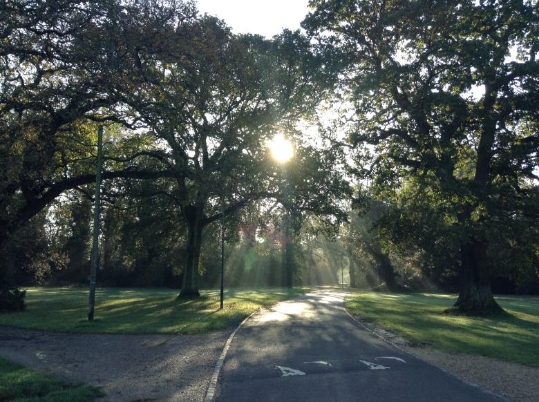Free stock image of Southampton Morning Sun Rays created by Wady Galfskiy