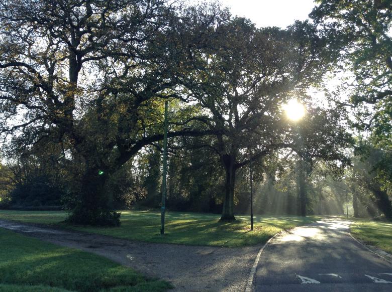 Free stock image of Southampton Morning Sun Rays created by Wady Galfskiy
