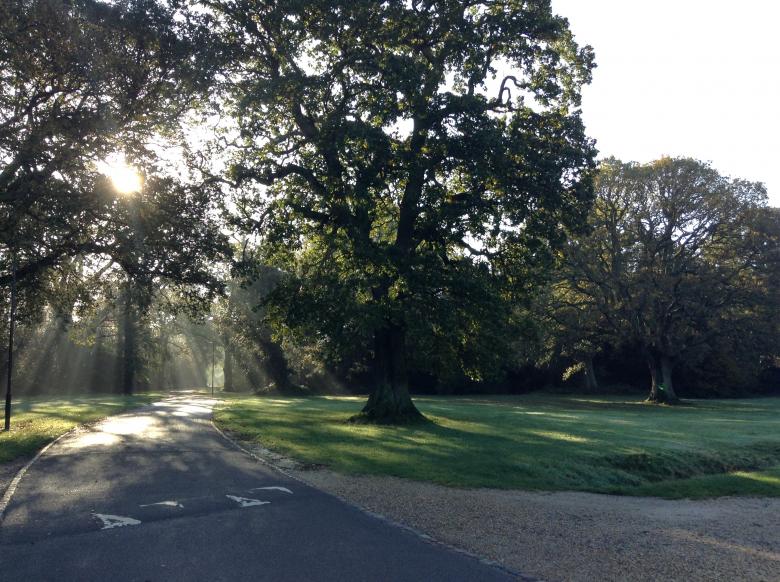 Free stock image of Southampton Morning Sun Rays created by Wady Galfskiy