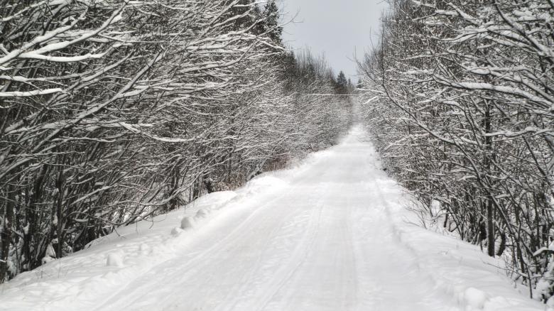 Free stock image of Winter road created by Mikhail