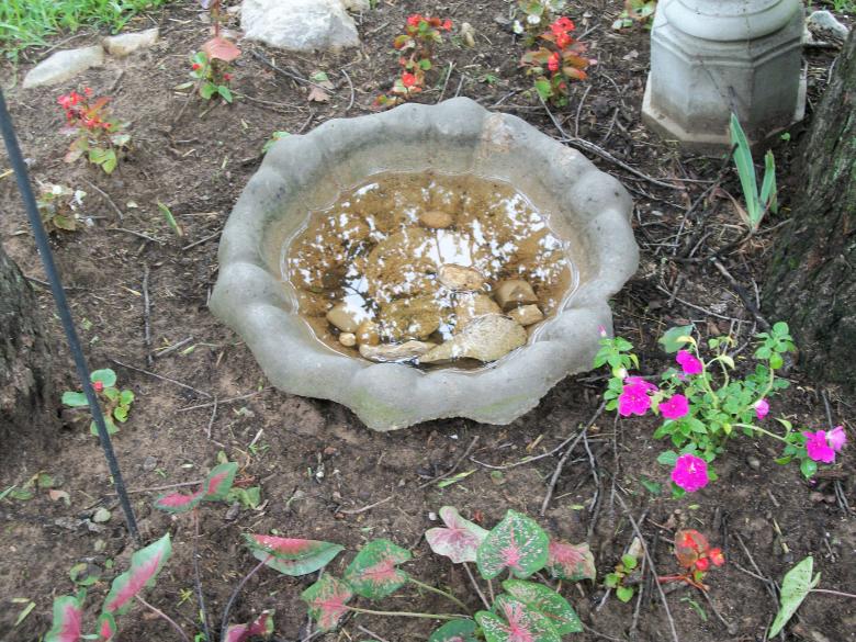 Free stock image of Birdbath on Ground created by delicopsch56