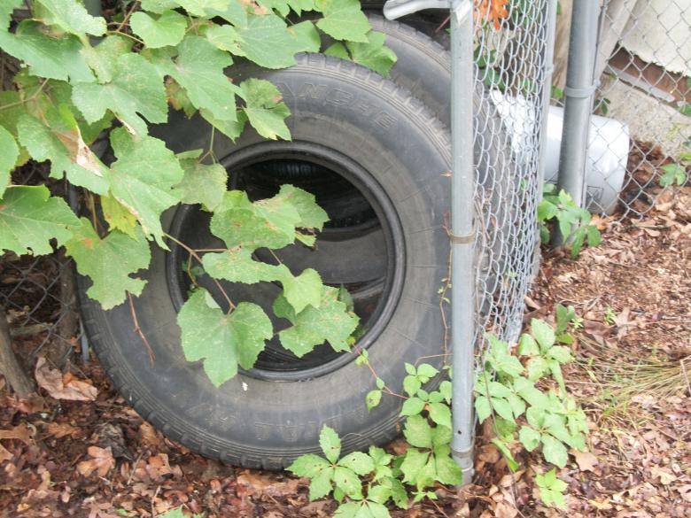 Free stock image of Old tires created by delicopsch56