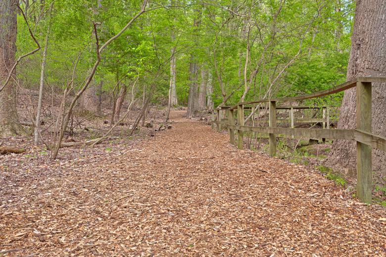 Free stock image of Woodend Sanctuary Trail - HDR created by Nicolas Raymond