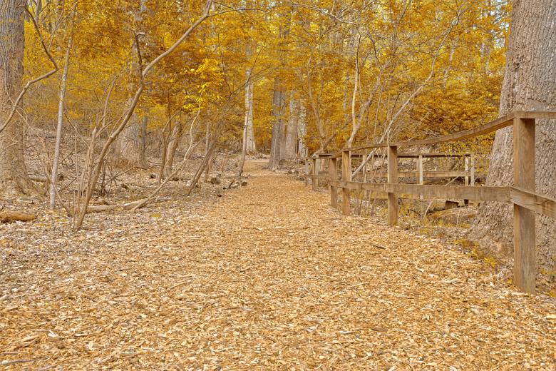 Free stock image of Gold Sanctuary Trail - HDR created by Nicolas Raymond