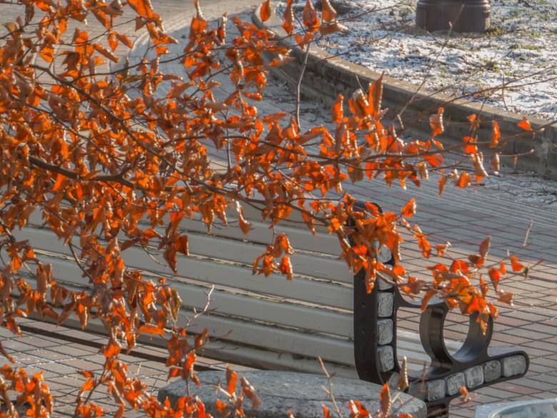 Free stock image of Beautiful bench  created by Janis Urtans