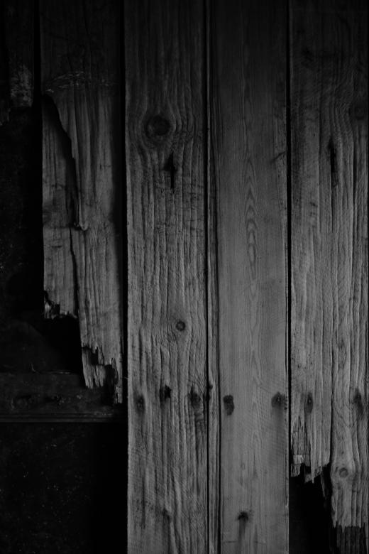 Free stock image of Rotten Wood Texture created by Free Texture Friday