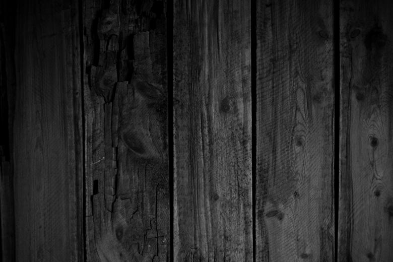 Free stock image of Rotten Wood Texture created by Free Texture Friday