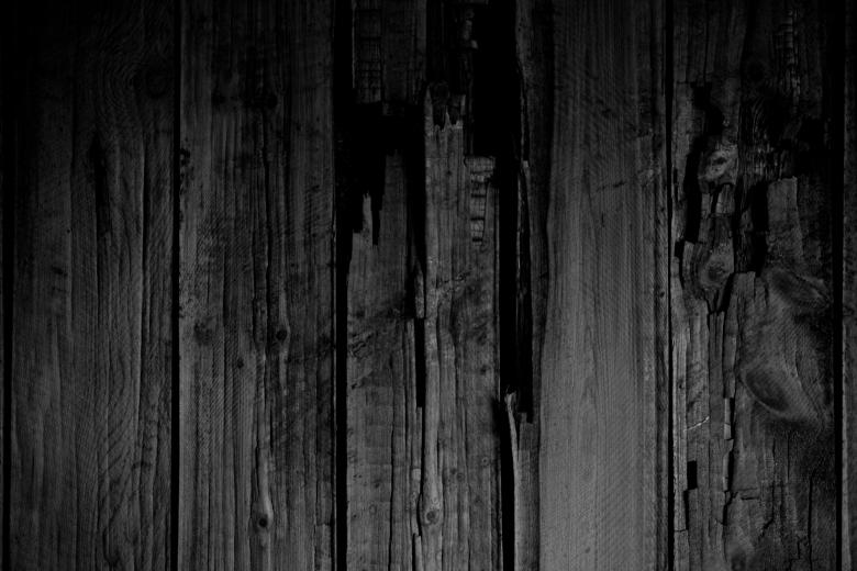Free stock image of Rotten Wood Texture created by Free Texture Friday