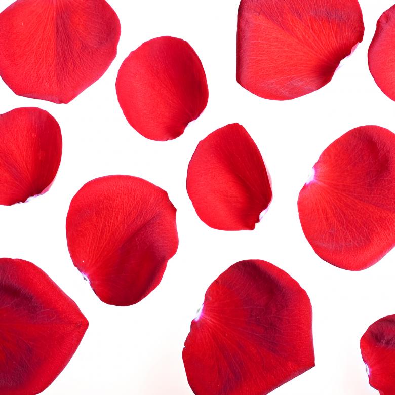 Free stock image of rose petals created by 2happy
