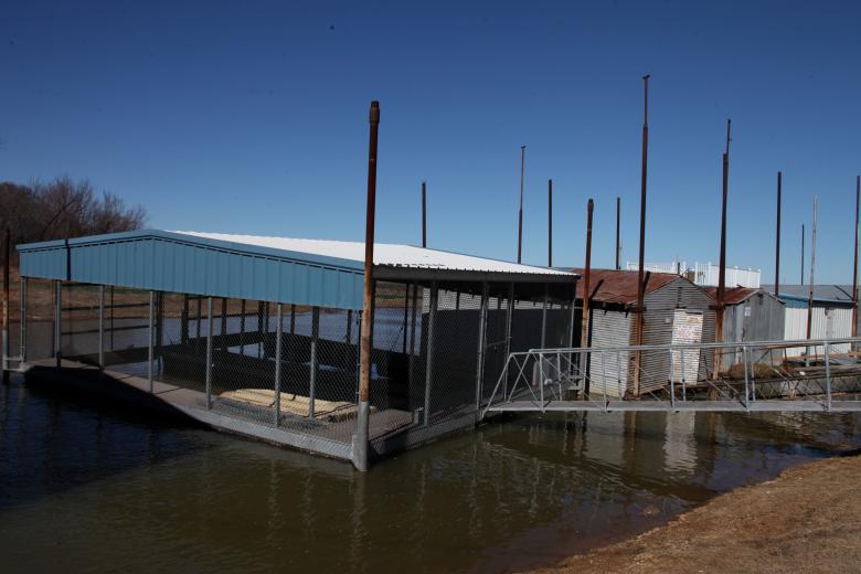 Free stock image of Boathouses on the lake created by Jared Davidson