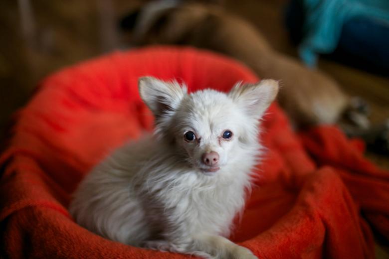 Free stock image of Oldster created by dana richardson