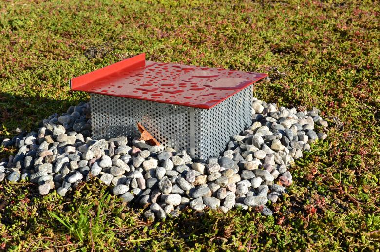 Free stock image of Green roof drainage created by Tomas Adomaitis