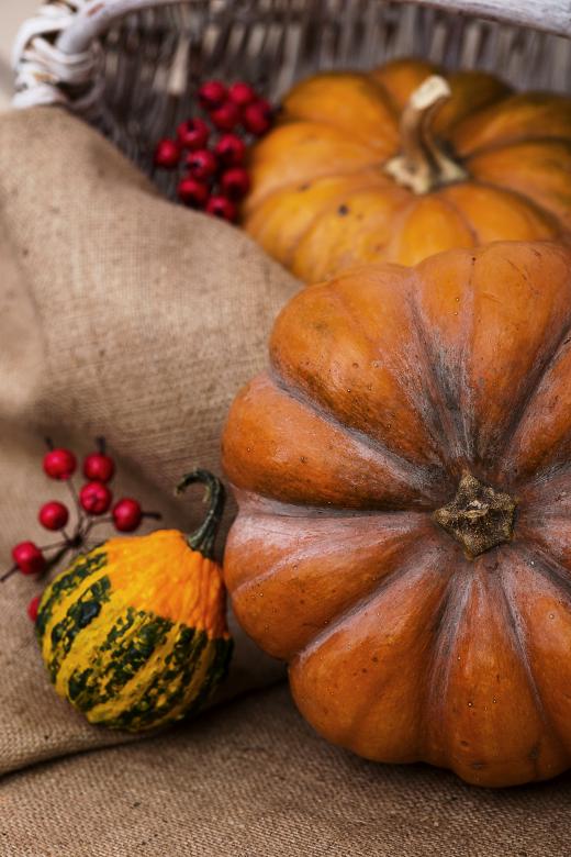 Free stock image of Pumpkins created by Oksana Zahray