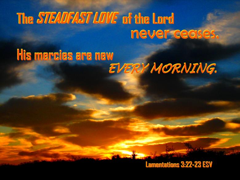 Free stock image of Steadfast Love created by DFNatureAwed